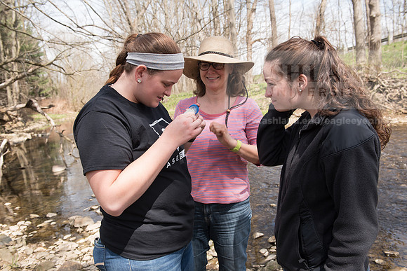 Biology Stream Clean Up - Canfield Preserve