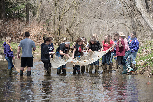 Biology Stream Clean Up - Canfield Preserve