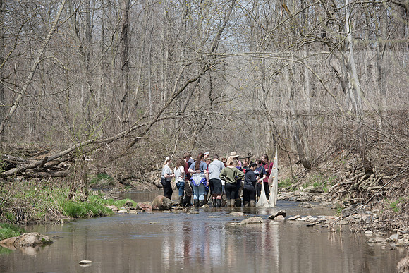 Biology Stream Clean Up - Canfield Preserve