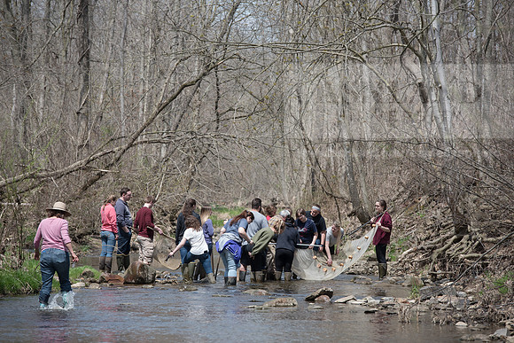 Biology Stream Clean Up - Canfield Preserve