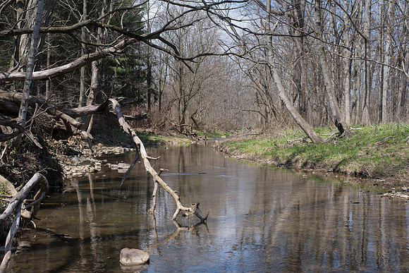 Biology Stream Clean Up - Canfield Preserve