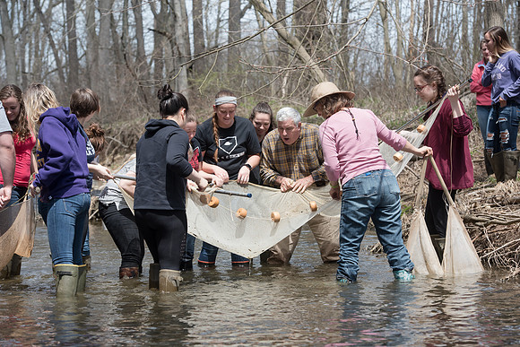 Biology Stream Clean Up - Canfield Preserve