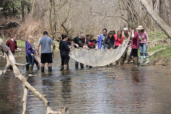 Biology Stream Clean Up - Canfield Preserve