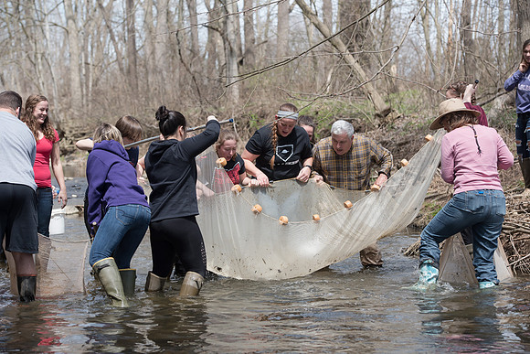 Biology Stream Clean Up - Canfield Preserve