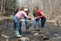 Biology Stream Clean Up - Canfield Preserve