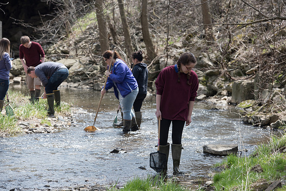Biology Stream Clean Up - Canfield Preserve