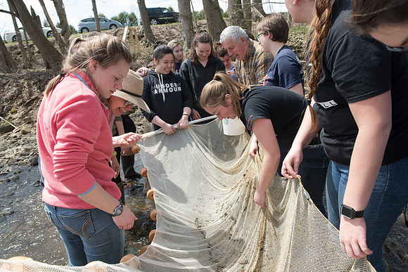 Biology Stream Clean Up - Canfield Preserve