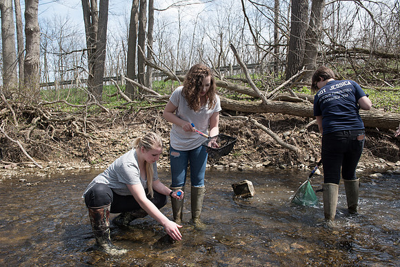 Biology Stream Clean Up - Canfield Preserve