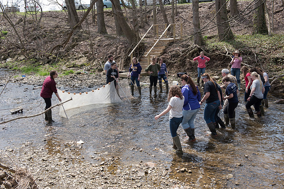 Biology Stream Clean Up - Canfield Preserve