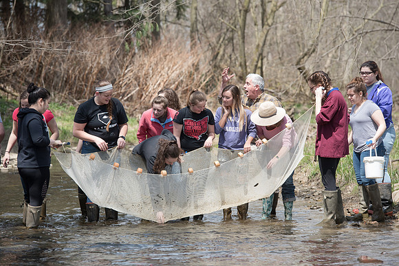 Biology Stream Clean Up - Canfield Preserve