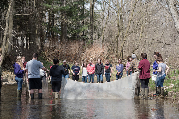 Biology Stream Clean Up - Canfield Preserve