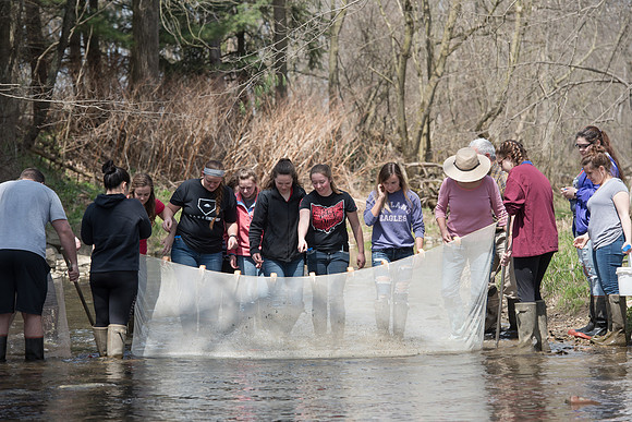 Biology Stream Clean Up - Canfield Preserve