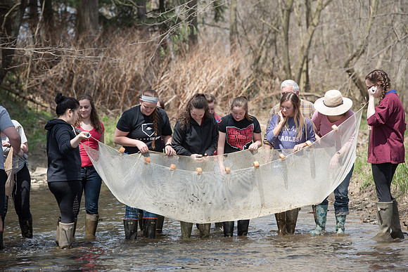 Biology Stream Clean Up - Canfield Preserve