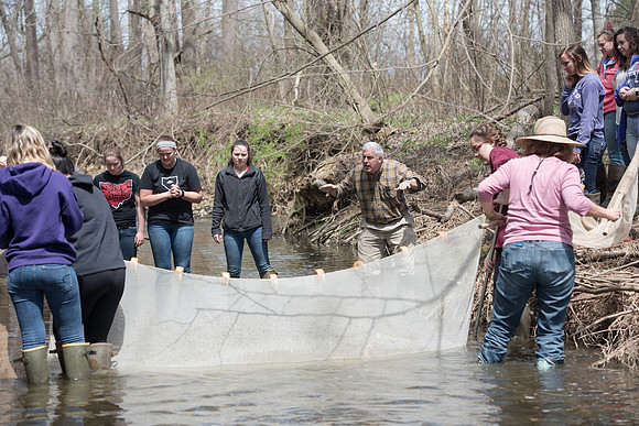Biology Stream Clean Up - Canfield Preserve