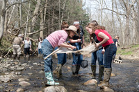 Biology Stream Clean Up - Canfield Preserve