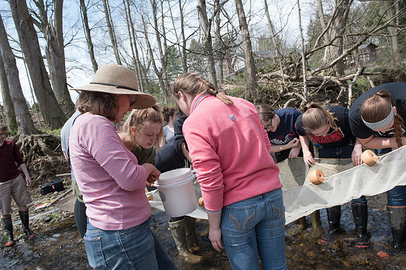 Biology Stream Clean Up - Canfield Preserve