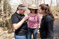 Biology Stream Clean Up - Canfield Preserve