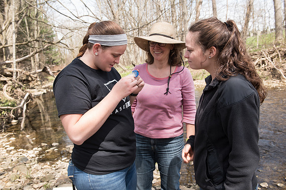 Biology Stream Clean Up - Canfield Preserve