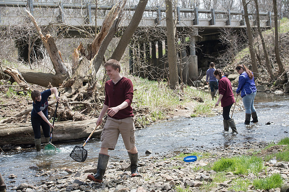 Biology Stream Clean Up - Canfield Preserve