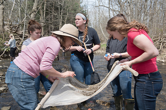 Biology Stream Clean Up - Canfield Preserve