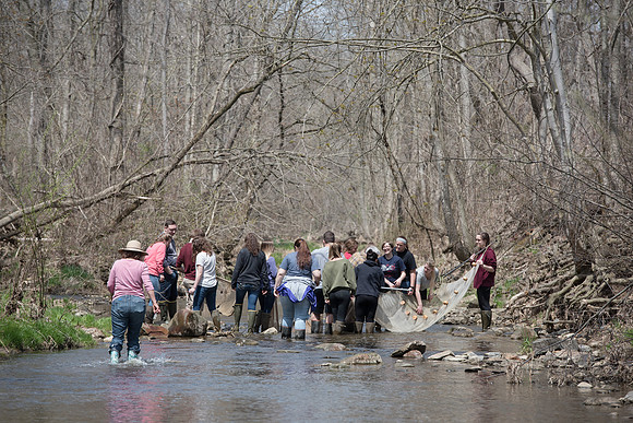 Biology Stream Clean Up - Canfield Preserve