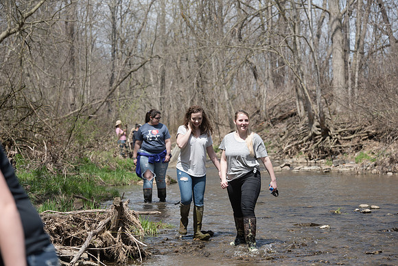 Biology Stream Clean Up - Canfield Preserve