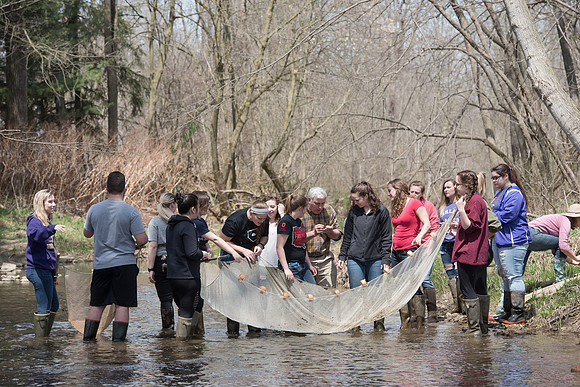 Biology Stream Clean Up - Canfield Preserve