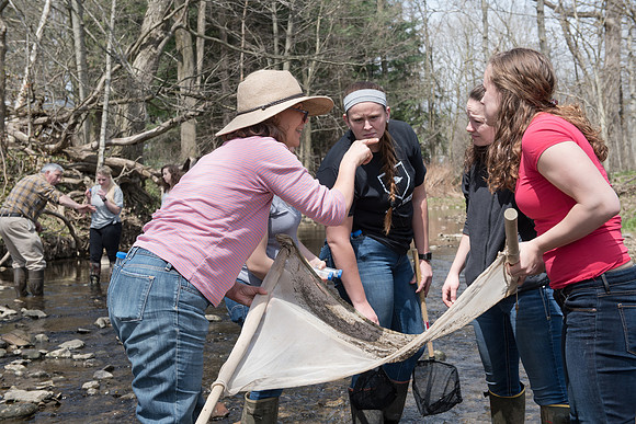 Biology Stream Clean Up - Canfield Preserve