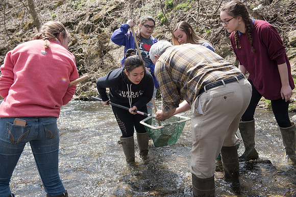 Biology Stream Clean Up - Canfield Preserve