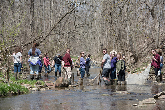 Biology Stream Clean Up - Canfield Preserve