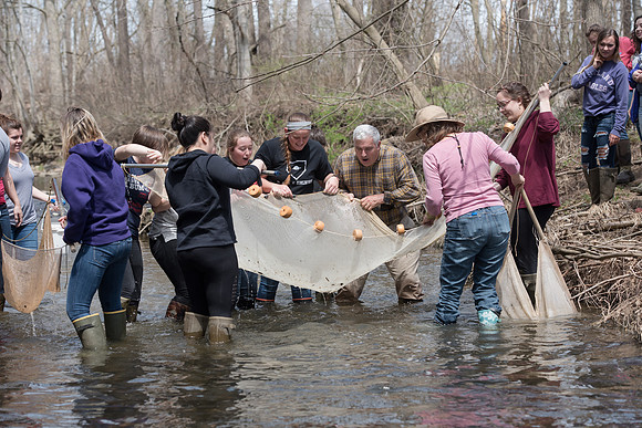 Biology Stream Clean Up - Canfield Preserve