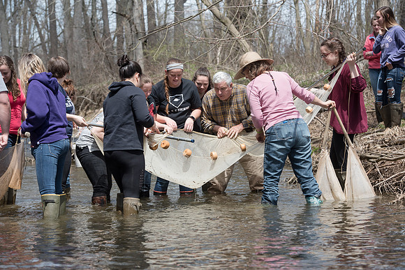 Biology Stream Clean Up - Canfield Preserve