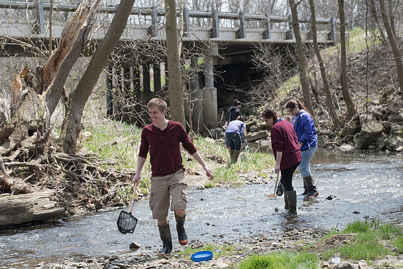 Biology Stream Clean Up - Canfield Preserve