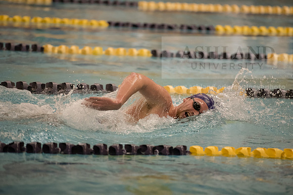AU Swim Meet/Malone and Urbana