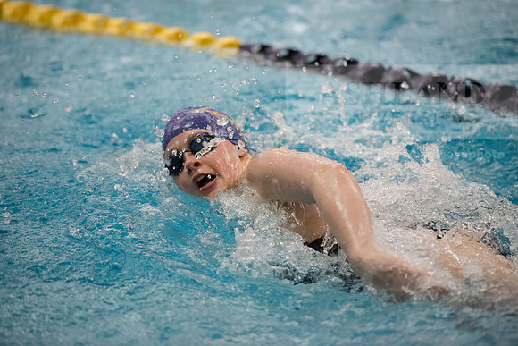 AU Swim Meet/Malone and Urbana
