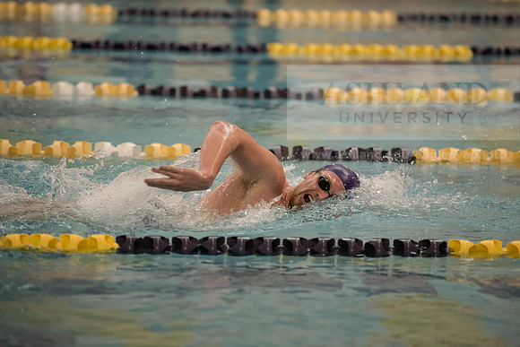 AU Swim Meet/Malone and Urbana