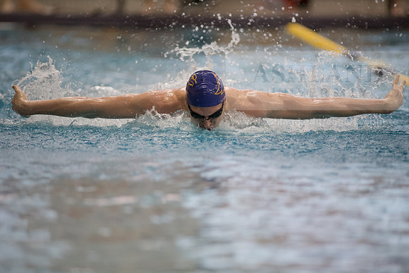 AU Swim Meet/Malone and Urbana