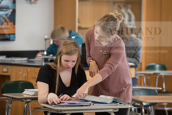 Education - Bachelor's Plus Program