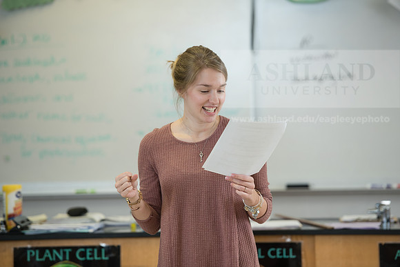Education - Bachelor's Plus Program