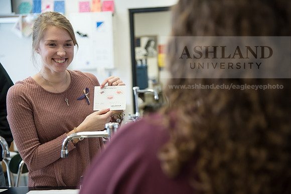 Education - Bachelor's Plus Program