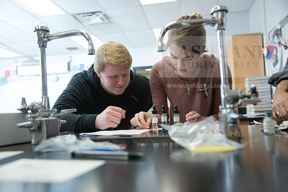 Education - Bachelor's Plus Program