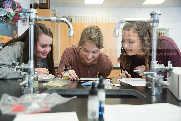 Education - Bachelor's Plus Program