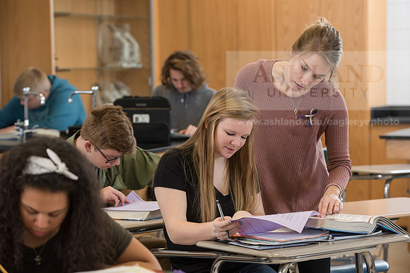 Education - Bachelor's Plus Program