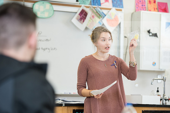 Education - Bachelor's Plus Program