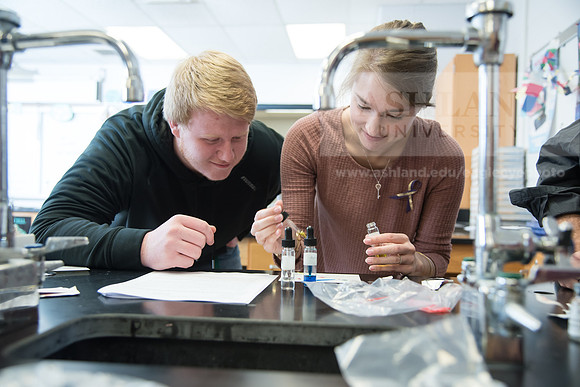 Education - Bachelor's Plus Program