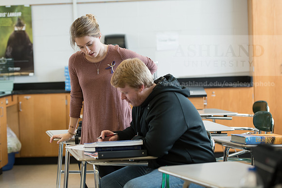 Education - Bachelor's Plus Program
