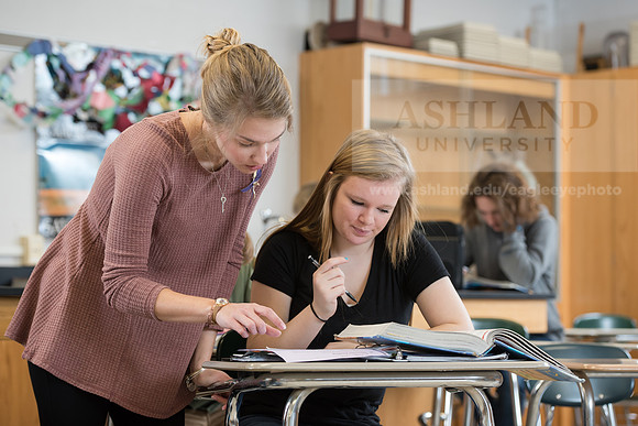 Education - Bachelor's Plus Program