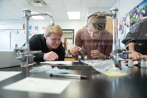 Education - Bachelor's Plus Program