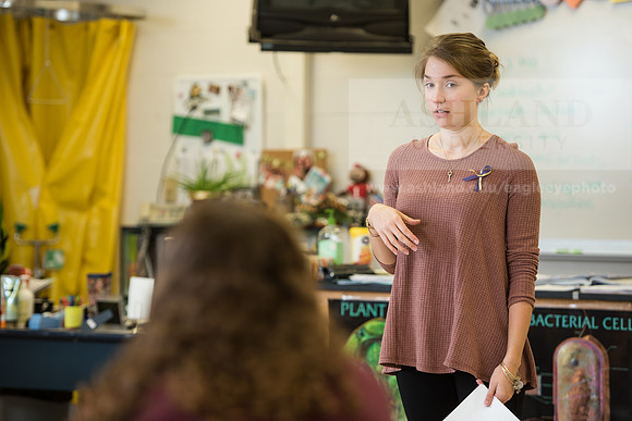 Education - Bachelor's Plus Program