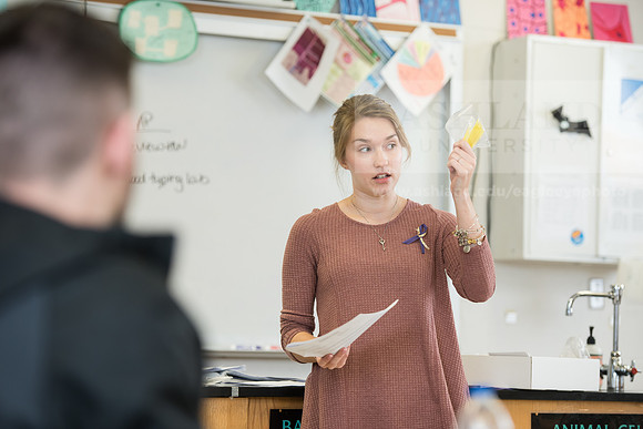 Education - Bachelor's Plus Program
